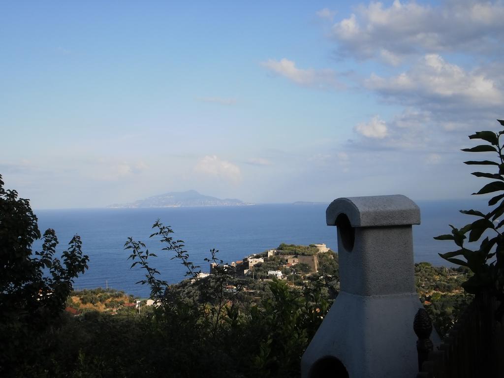 Appartement Terrazza Sul Golfo à Massa Lubrense Extérieur photo