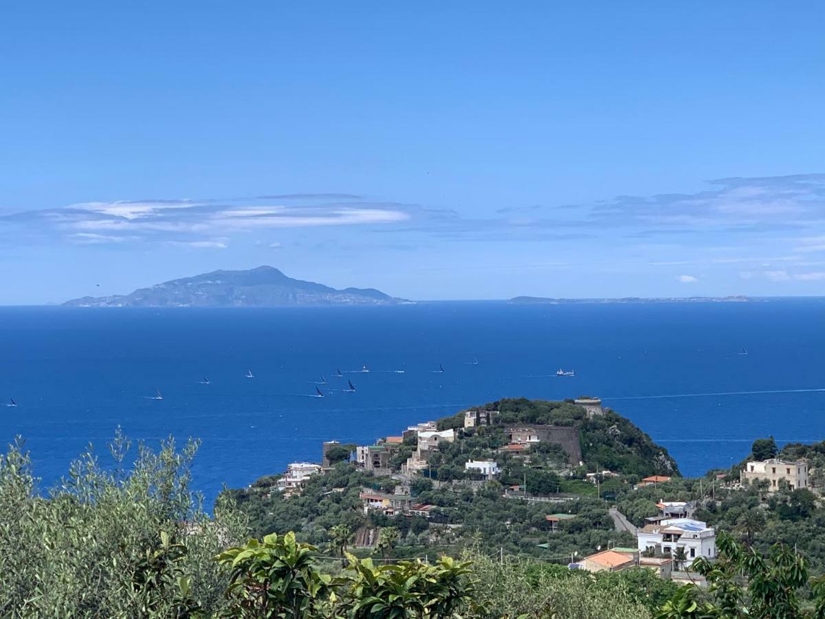 Appartement Terrazza Sul Golfo à Massa Lubrense Extérieur photo